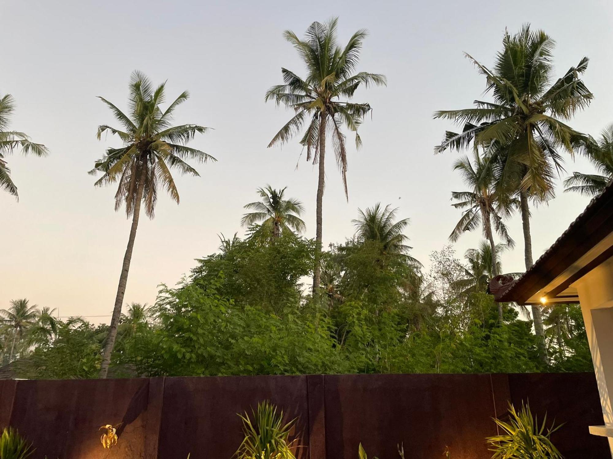Relax Villas غيلي آير المظهر الخارجي الصورة
