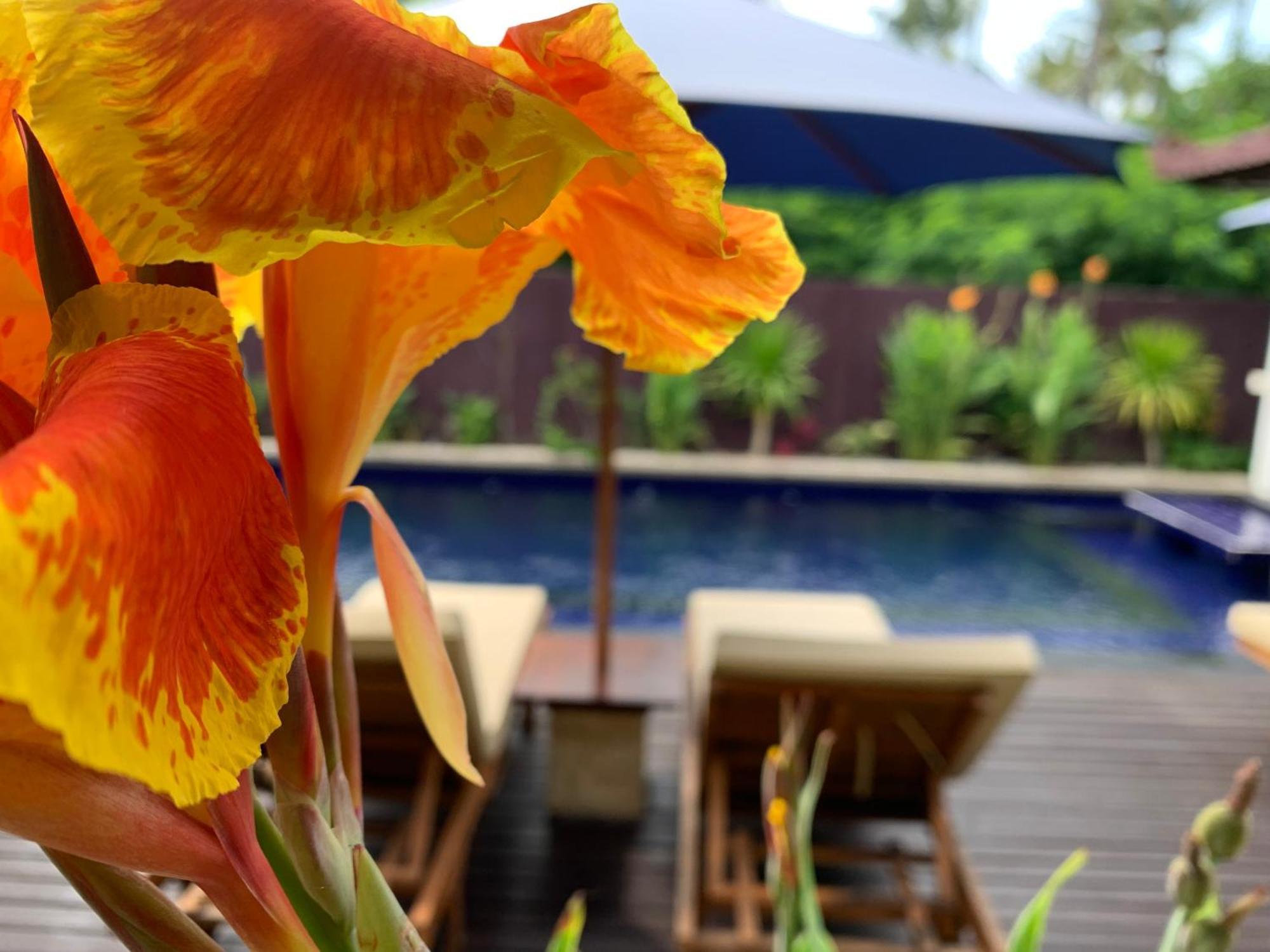 Relax Villas غيلي آير المظهر الخارجي الصورة
